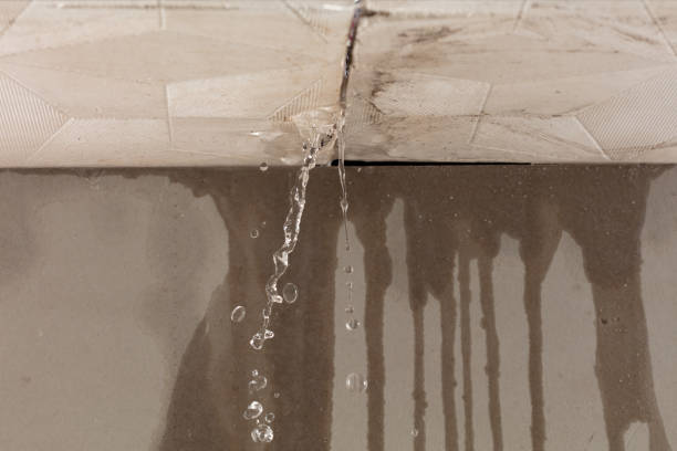 Professional Sewage Cleanup technician working in Ansonia, OH